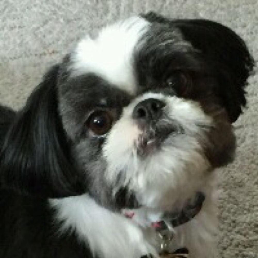 Meet your Posher, Katie